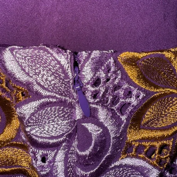 Anthropologie Embroidered Mini Dress - Picture 13 of 13